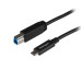 StarTech.com 3.3ft (1m) USB-B to USB-C Cable, USB 10Gbps, Data Cord, USB 3.2 Gen 2, USB-C Data Transfer Cable