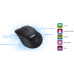 ASUS WT465 mouse Office Right-hand RF Wireless Optical 1600 DPI