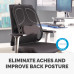 Fellowes Back Support for Office Chair - Professional Series Mesh Office Chair Back Support - Easy To Attach - H19.53 x W30.32 x D36.99cm