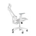 ASUS ROG Destrier Core Universal gaming chair Padded seat White