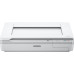 Epson WorkForce DS-50000 Flatbed scanner 600 x 600 DPI A3 White