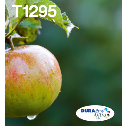 Epson Apple T129 DURABrite Ultra Multipack 4-colours EasyMail Ink