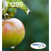 Epson Apple T129 DURABrite Ultra Multipack 4-colours EasyMail Ink