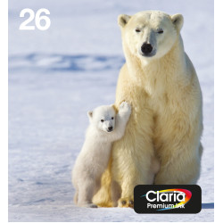 Epson Polar bear Multipack 4-colours 26 EasyMail