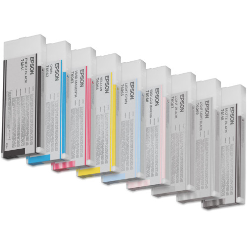 Epson Singlepack Light Black T606700 220 ml