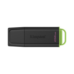 Kingston Technology DataTraveler 256GB Portable USB 3.2 Gen 1 Exodia Black/Green