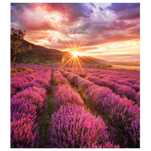 Samsung IF015H-E LED Indoor