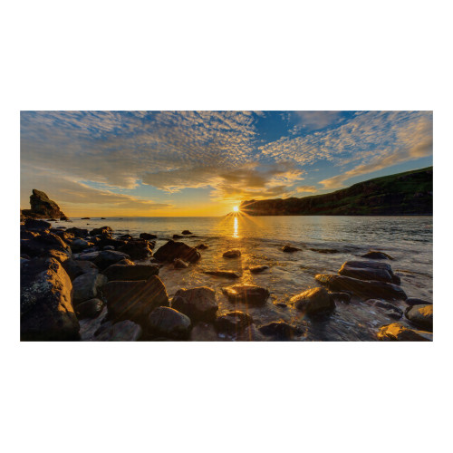 Samsung IF015R LED Indoor