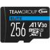 Team Group TEAUSDX256GIV30A103 Flash 256g|team Teausdx256giv30a103